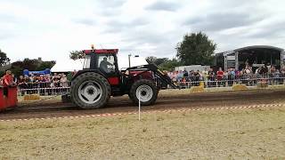 IHC beim Tractor Pulling-Trecker Treck