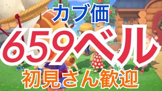 【あつ森】ライブ参加型 かぶ価最高659ベルや流星群開放　アプデ雑談プレゼントも