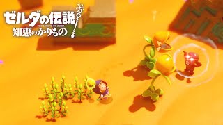 人材の宝庫『ゲルド砂漠』【ゼルダの伝説 知恵のかりもの】#4