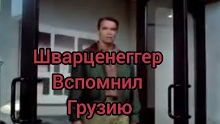 Шварценеггер вспомнил Грузию #арнольдшварценеггер #смешнойперевод #смешноевидео #прикол #приколы