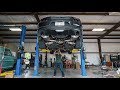 The most EPIC sounding Mustang Coyote Exhaust EVER!!