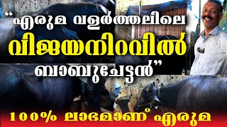 എരുമ ലാഭം മാത്രമേ തന്നിട്ടുള്ളൂ || അച്ഛന്റെ കാലം || മാതൃക കർഷകൻ || buffalo farming || എരുമ || KERALA