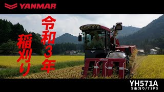 令和3年稲刈りYANMAR YH571Aｺﾝﾊﾞｲﾝ　PV21/9/23#1310