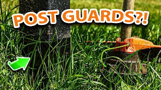 Post Protection Secrets REVEALED! Expert Tips You Need to Know!