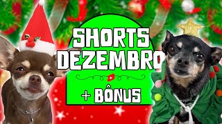 OS MELHORES SHORTS DO MÊS DE DEZEMBRO - COMPILADO PEQUENOS PRÍNCIPES