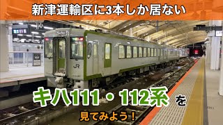 新津運輸区に3本しか居ない、キハ111・112系を見てみよう！