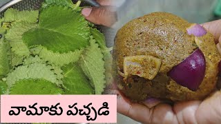 ఎన్నో ఔషధ గుణాలున్న వామాకుతో రోటి పచ్చడి||healthy ajwain leaves roti pachadi