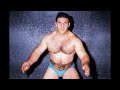 Ron Shaw on Bruno  Sammartino and David Sammartino