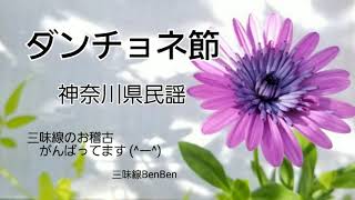 【ダンチョネ節】三味線BenBen【弾いてみた】