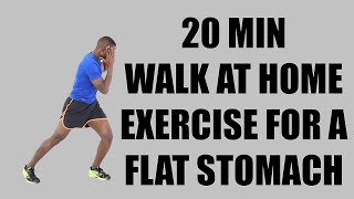 20 Minute Walk at Home Exercise for A Flat Stomach 🔥 Walk 2500 Steps - Burn 200 Calories 🔥