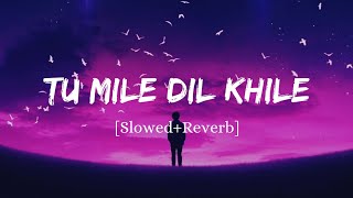 Tu Mile Dil Khile - Raj Barman Song | Slowed And Reverb Lofi Mix