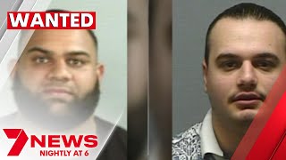 Sydney's brutal Alameddine crime network | 7NEWS