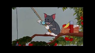 ᴴᴰ Tom and Jerry, Episode 91 - Pup on a Picnic 1953 - P3/3 | TAJC | Duge Mite