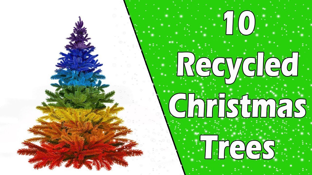 10 Recycled Christmas Trees - Ecobrisa DIY - YouTube