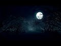 YA RABBANA | Emotional Arabic Nasheed 2026 | Heart Touching Islamic Vocal Nasheed | No Music Zephyra