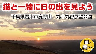 猫と一緒に日の出を見よう　千葉県君津市鹿野山　九十九谷展望公園【猫と軽バン】