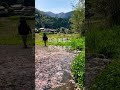 こんなところで、わさび栽培しています⛰️ 農業 農家 わさび田 中林ファーム