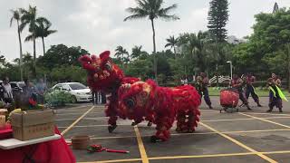 台南市雄威舘（國立成功大學歷史係）舞獅表演