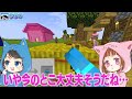 少女に見られているマインクラフト😨【 マイクラ minecraft 】