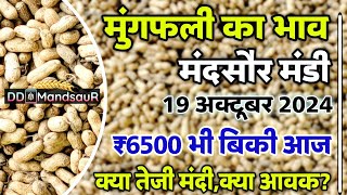 मुंगफली का भाव मंदसौर मंडी 19 अक्टूबर 2024 | Mungfali ka bhav | #groundnut #mandsaur_mandi