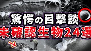 【総集編】伝説と目撃談が交差するミステリアスな未確認生物UMA24選【ゆっくり解説】