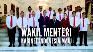Ini Daftar Lengkap dan Profil 12 Wakil Menteri Kabinet Indonesia Maju