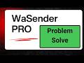 WA Sender Pro Software Problem & Solution  Common Errors Fix Step by Step Guide