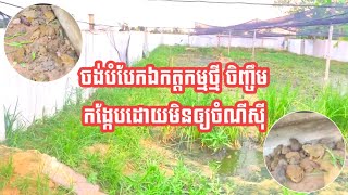 ចង់បំបែកឯកត្តកម្មថ្មី ចិញ្ចឹមកង្កែបមិនឲ្យចំណីស៊ី/ Farming