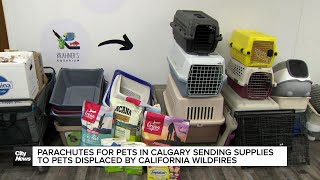 Pets for Parachutes in Calgary aims to help pets displaced by California wildfires