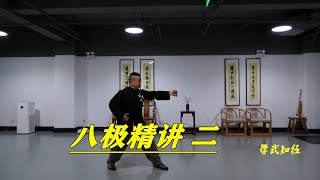 八极拳两仪顶实战技法理念，胡玉涛老师讲述武术独特风采(Ba Jiquan)