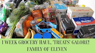 1 Week Grocery Haul - Treats Galore! | Family of 11