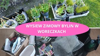 Wysiew bylin w woreczkach super metoda i efekty -  Co teraz wysiewać 2025