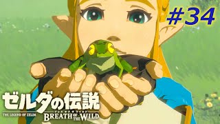 【ゼルダの伝説】生きたカエルを食わそうとする女【ブレスオブザワイルド＃34】