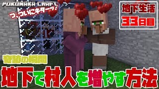 【ぽこなかくら＃283】地下生活33日目！見よ！これが地下生活式村人増殖だ！！【マインクラフト】