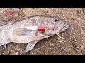 TECHNIQUE AND LURES for CABRILLAS FISHING. || Shore jigging on rocks.