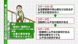 【心不全の原因疾患】社会医療法人社団愛心館　愛心メモリアル病院