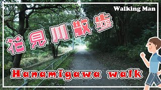 花見川を散歩 A walk along the Hanamigawa River【4K】