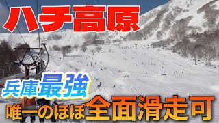 【最新】ハチ高原スキー場|ここに来たら雪があるゲレンデレポート2023