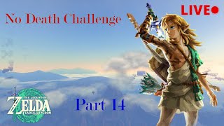 Zelda TOTK, No Death Challenge Part 14