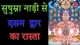 सुषुम्ना नाड़ी से दसम  द्वार का रास्ता || \