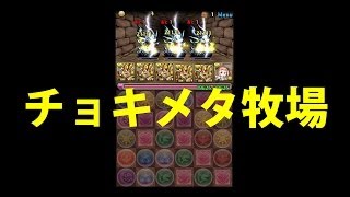 【パズドラ】最速でぶん回して降臨1回で大体1体LvMax分のチョキメタ・メタドラGet！