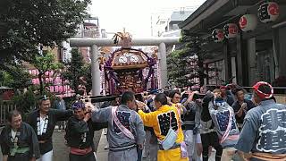 平成30年天祖神社祭禮 江戸橋町会神輿宮入