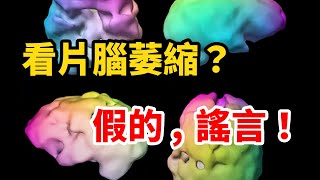 【腦科學】闢謠：沉迷色情片會讓大腦萎縮的這樣一個謠言。丨萬物深藍