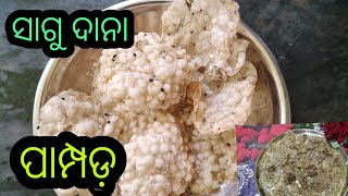 ସାଗୁ ଦାନା ପାମ୍ପଡ 🌹 #sagu papad👌 #ଦେଢ଼ କପ୍ ରେ କେମିତି କୁର୍ମୁରିଆ ସାଗୁ ପାମ୍ପଡ଼କରିବା 👍#sabudana papad