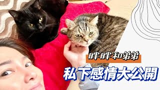 貓咪私下不為人知的一面😸 | 博士與她的愛貓們－黑咖灰日記ep.3 (Dr. Gracie and Her Beloved Cats ep.3)