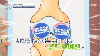 연골의 영양 공급을 도와 관절 건강을 예방하는 콘드로이친 TV CHOSUN 20220818 방송  | [알콩달콩] 146회 | TV조선