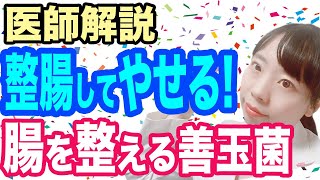 【医師解説】腸内環境のせいで肥満に!? 正しい食生活と善玉菌のチカラで健康体になる！【健康にやせる】