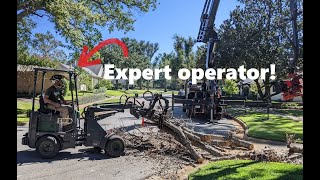 Moving logs like a PRO - Intrepid KM100 Tele miniloader \u0026 Branch Manager Grapple