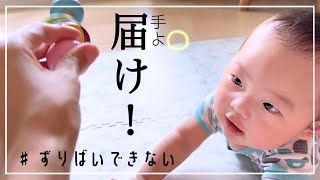 【生後6ヶ月】ずりばいできない赤ちゃん。おもちゃに手が届かない…その後ずり這いの前兆か⁉︎（練習/育児/成長）