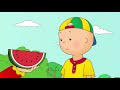 カイユー カイユーとミツバチ 面白い漫画 キッズ漫画 ケイルー caillou